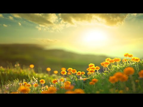 Morning Relaxing Music – Positive Feelings and Energy (Adele)