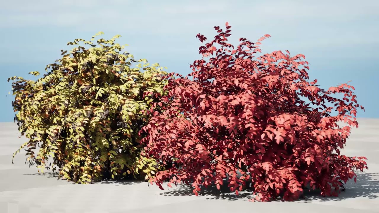 Bah&ccedil;e Hortumu i&ccedil;in &Ccedil;alı &Ccedil;alısı 3D Model