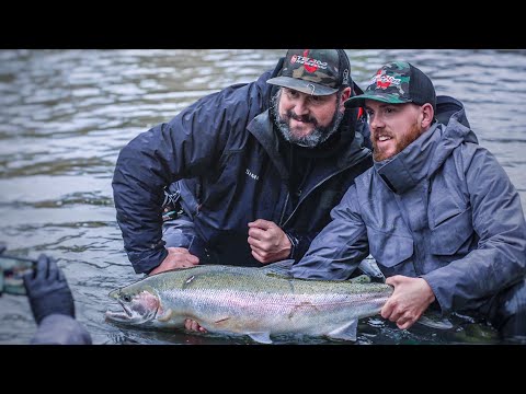 MONSTER Winter Steelhead on the Olympic Peninsula