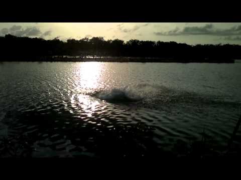 Daniel-merida Frontflip