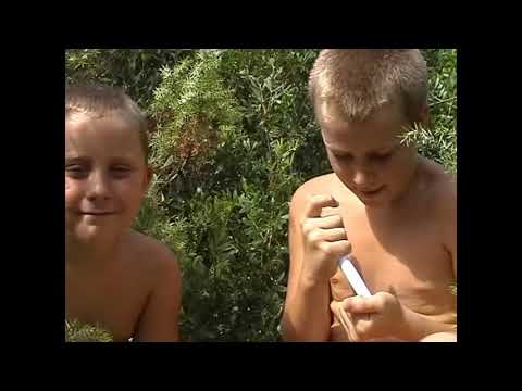 Il Mostro di Punta Ala