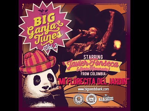 Javier (Alerta Kamarada) - Mi florecita del jardín / BIG Ganja Tunes 2
