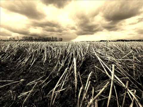 Dry Lightning - Bruce Springsteen