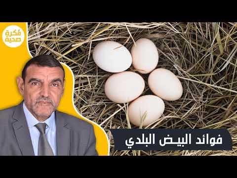 , title : 'فوائد البيض البلدي ومخاطر البيض الرومي مع الدكتور محمد الفايد'