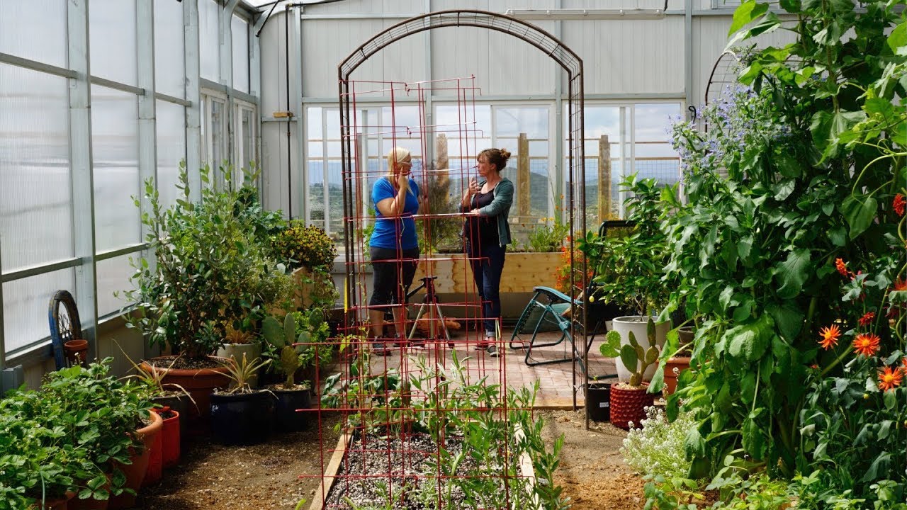 Grow Ceres: How To Plan a Garden Layout in Your Ceres Greenhouse