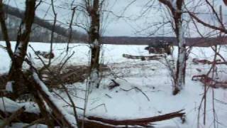 preview picture of video 'Skidding trees in Indiana with aTimberjack 360 grapple skidder 2010 007.MOV'