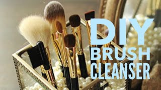 DIY Brush Cleanser | Lalaine Axalan