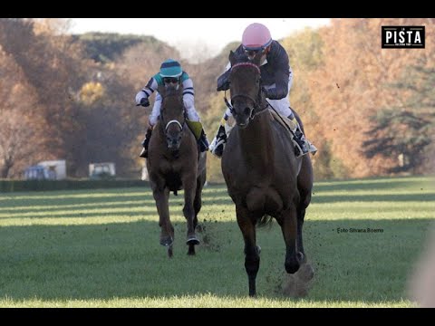 Gran Premio Gran Criterium (G1) 2021