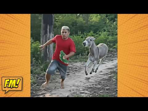 TENTE NÃO RIR 🤣 TOP 100 VÍDEOS MAIS ENGRAÇADOS DE TODOS OS TEMPOS 🎬 🔥 SE RIR, REINICIA