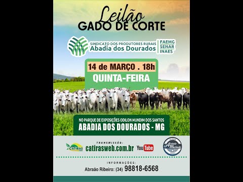 LEILÃO AO VIVO -  SIND. RURAL DE ABADIA DOS DOURADOS - MG - 14 DE MARÇO DE 2024.