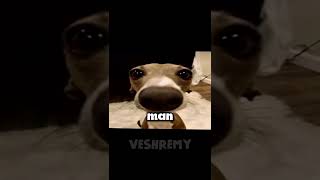 reading your WORST comments 😡