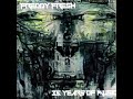 Freddy Fresh -- Tattered Broken