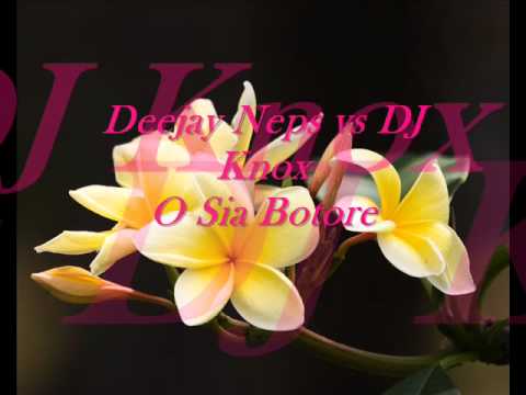 Deejay Neps vs Dj Knox -  Vohosia Boto Re Rmx