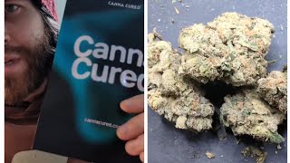 Canna cured. Gas face thca hemp flower review -quite pungent