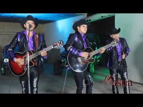 Los Paseños de la JM  - El Tio (EN VIVO 2016)