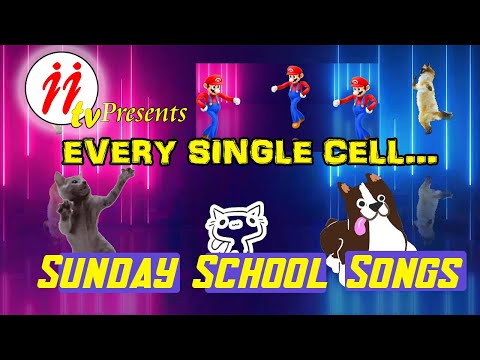Every single cell || JJ tv || Sunday School Songs || Children's Songs
