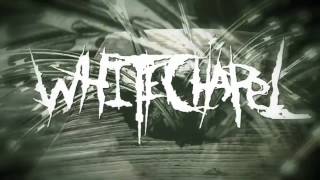 Whitechapel "Prostatic Fluid Asphyxiation" (LYRIC VIDEO)