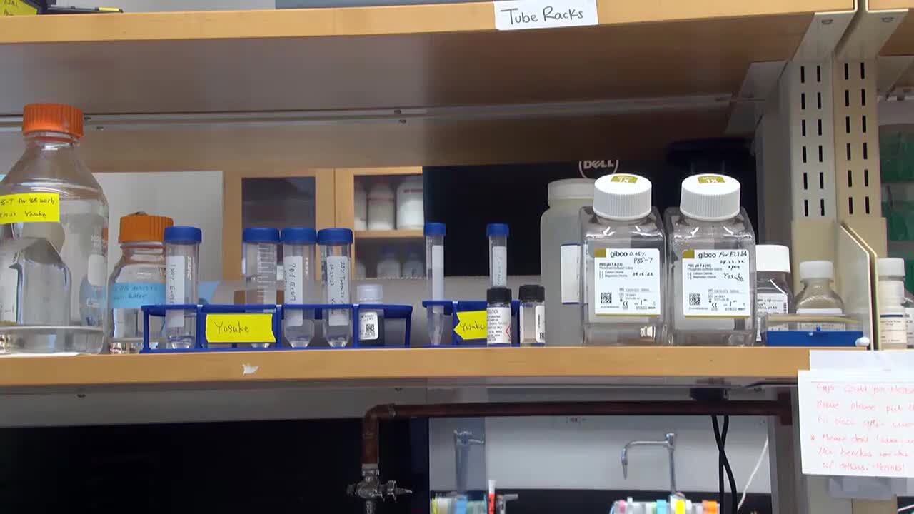 New MS drug approved by FDA