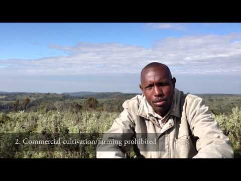 Video - The customary bylaws of the Ogiek of Mount Elgon
