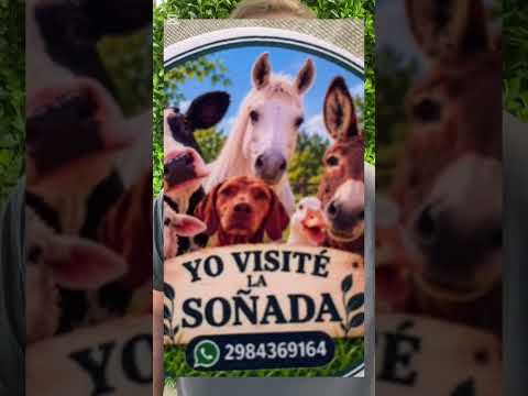 Un lugar SÚPER recomendable. Villa Regina Río Negro