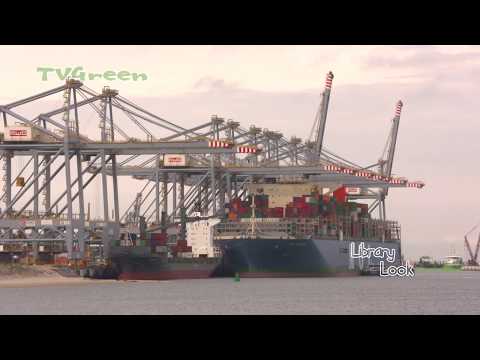 Rotterdam Seaport: Ultra Large Container ship - MOL Triumph