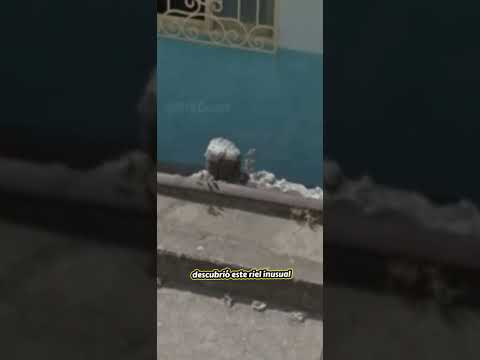 En Puerto Caldas Risaralda, nuestro Cazador de Rieles @Elegant purchase...