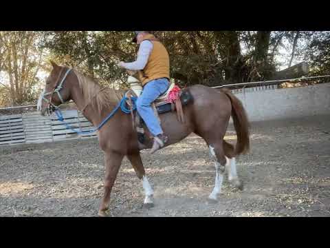Una Tarde De Piales en Octubre!!