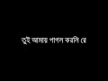 tui amay pagol korli re     Bangla    Lyrics Bangla
