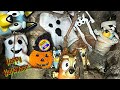 Bluey and Bingo Halloween Ghost Hunt for Kids