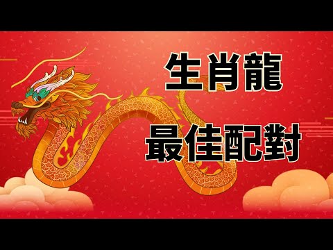 生肖龍配對