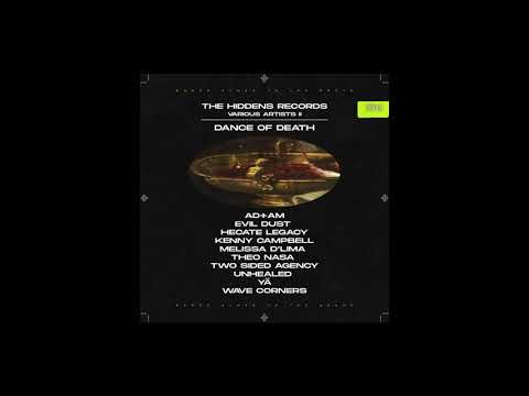 Two Sided Agency - Hidden in Plain Sight [T-HIDDENS012]