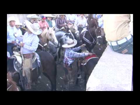 14 - The Best of the Coleaderos - Arroyo Seco de Arriba, Tepetongo