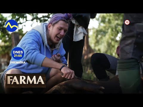 Farma 14 - už teraz na Voyo a vo štvrtok 10. 11. 2022 o 21:55 na TV Markíza