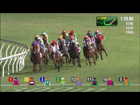 3/11/2021 (146) Romantic Combo- J Moreira