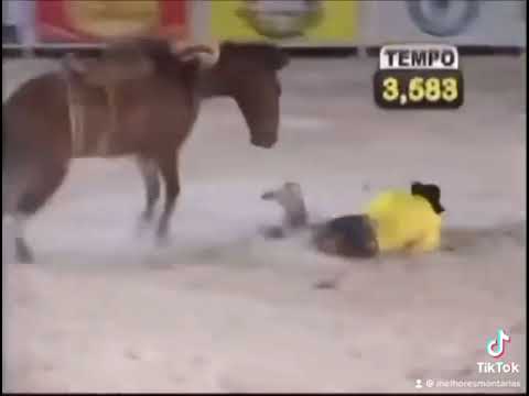 Osmar Alves x Pancadão - Rodeio dos Campeões em Barretos 2008