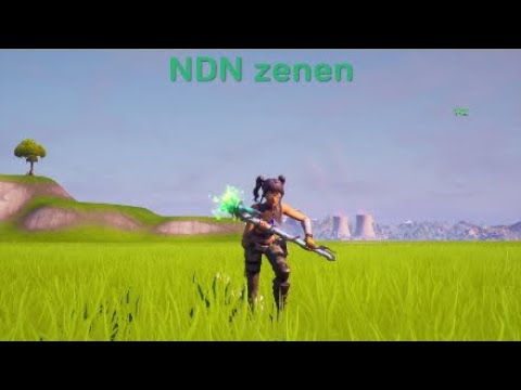 Introducing NDN zenen*