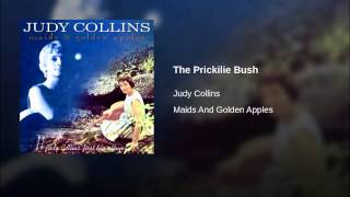 The Prickilie Bush