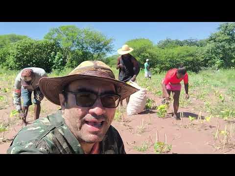 TONHÃO O REI DO SERTÃO visitando agricultores em mirandiba Pernambuco.