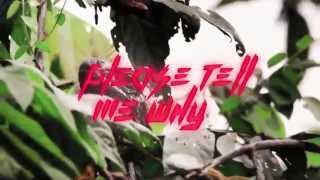 The Faceplants - Why (Lyric Video)
