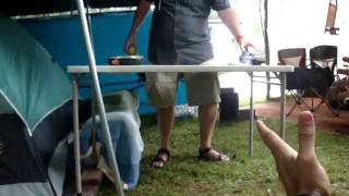 Clifftop 2009 - Physics 101