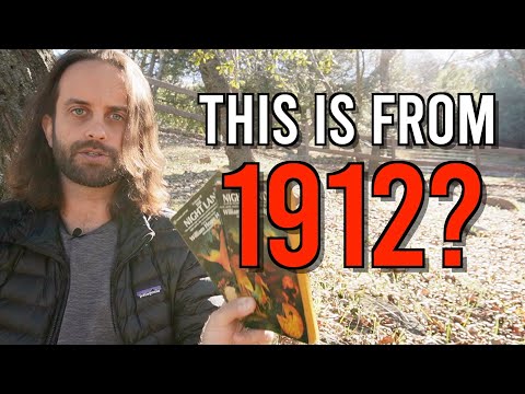 I Cannot Believe This Forgotten Science-Fantasy Epic Exists [100 Book Challenge #87-90]