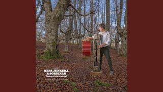 Zumarragako Trikitixa