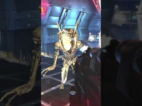 Alien's Colonial marines wasn't THAT bad