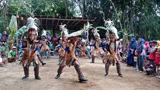 Download lagu New kalong ireng rodat 1 live in pasar tradisonal kalipong #9 mp3 Download lagu New kalong ireng rodat 1 live in pasar tradisonal kalipong #9 mp3