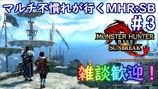 (switch版)マルチ不慣れがソロで行く、MHR：SB＃3