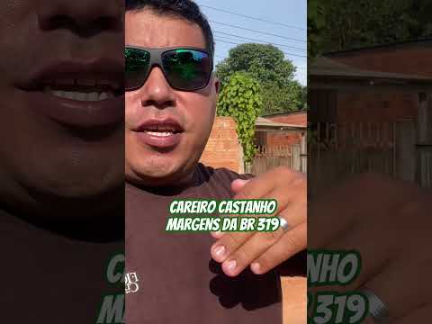 Careiro Castanho Margens da Br 319 #br319 #amazonas #fy #humor #funnyvideo #automobile #youtube