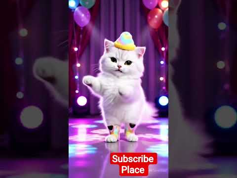 palpal jina song cartun cat#foryou #funny #short edit#foryou