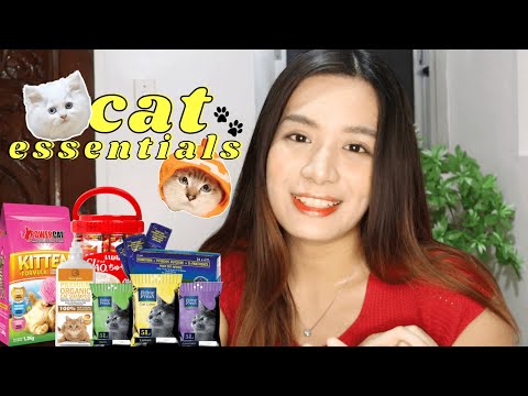 cat essentials | persian cats | philippines || louise zareno