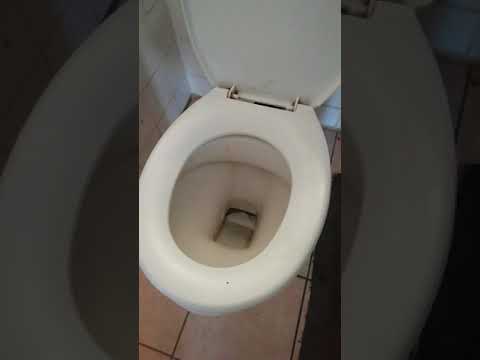 Zelvo cleaning services (Pty Ltd) video.