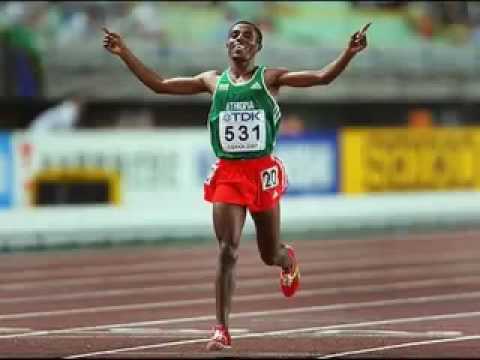 Oromo .. . Ayalaa .. Ayele ... sport